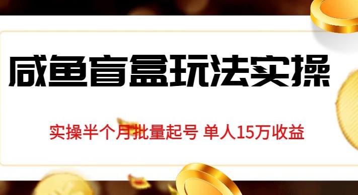 独家首发咸鱼盲盒玩法实操，半个月批量起号单人15万收益【揭秘】_中创网,自媒体短视频教学_网创项目_网络创业无忧资源网
