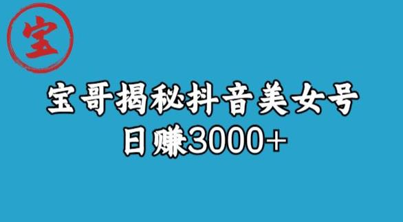 宝哥揭秘抖音美女号玩法，日赚3000+【揭秘】_中创网,自媒体短视频教学_网创项目_网络创业无忧资源网