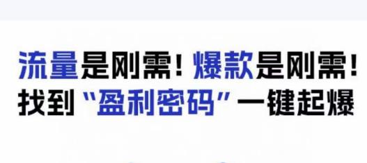 电商盈利精品课：6大盈利密码让产品更好卖，流量是刚需！爆款是刚需！找到”盈利密码”一键起爆_中创网,自媒体短视频教学_网创项目_网络创业无忧资源网