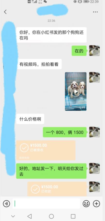 外边收费3980的同城萌宠项目，用最冷门的玩法冲击最热门的市场【揭秘】_中创网,自媒体短视频教学_网创项目_网络创业无忧资源网