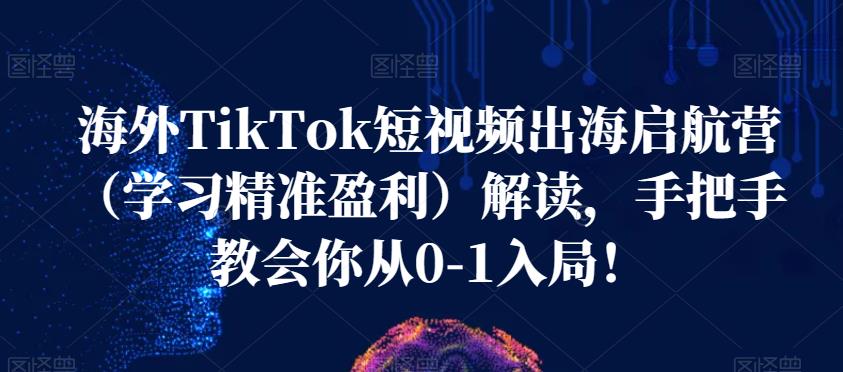 海外TikTok短视频出海启航营（学习精准盈利）解读，手把手教会你从0-1入局！_中创网,自媒体短视频教学_网创项目_网络创业无忧资源网