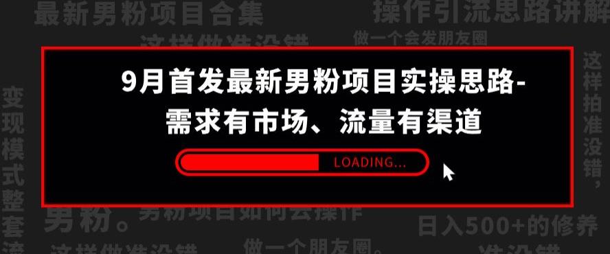 9月首发最新男粉项目实操思路-需求有市场，流量有渠道【揭秘】_中创网,自媒体短视频教学_网创项目_网络创业无忧资源网