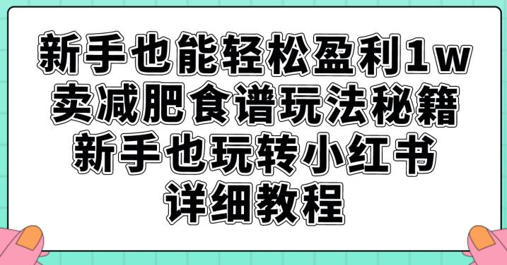 新手也能轻松盈利1w，卖减肥食谱玩法秘籍，新手也玩转小红书详细教程【揭秘】_中创网,自媒体短视频教学_网创项目_网络创业无忧资源网