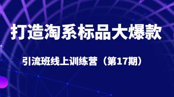 打造淘系标品大爆款引流班线上训练营（第17期）5天直播授课_中创网,自媒体短视频教学_网创项目_网络创业无忧资源网