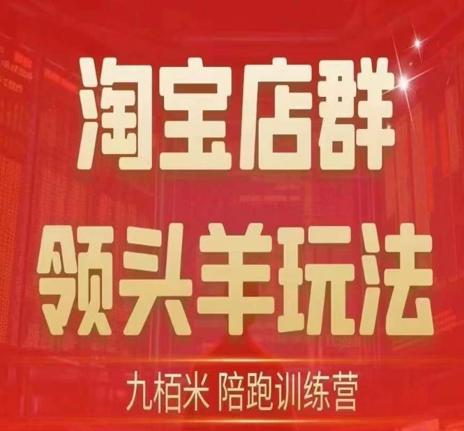 九栢米-淘宝店群领头羊玩法，教你整个淘宝店群领头羊玩法以及精细化/终极蓝海/尾销等内容_中创网,自媒体短视频教学_网创项目_网络创业无忧资源网