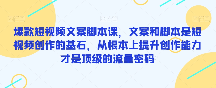 爆款短视频文案脚本课，文案和脚本是短视频创作的基石，从根本上提升创作能力才是顶级的流量密码_中创网,自媒体短视频教学_网创项目_网络创业无忧资源网
