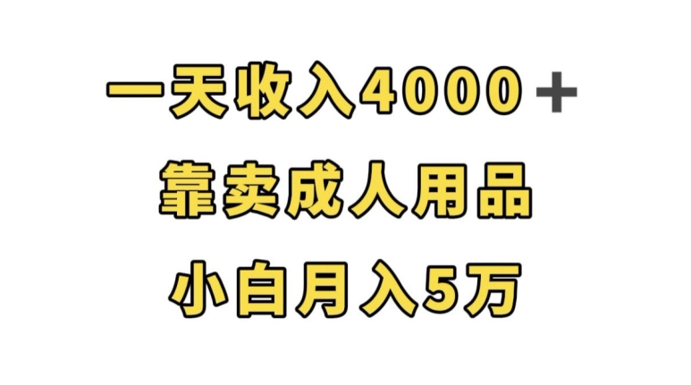 一天收入4000+，靠卖成人用品，小白轻松月入5万【揭秘】_中创网,自媒体短视频教学_网创项目_网络创业无忧资源网