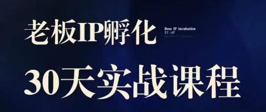 诸葛·2023老板IP实战课，实体同城引流获客，IP孵化必听_中创网,自媒体短视频教学_网创项目_网络创业无忧资源网