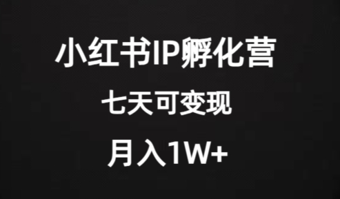 价值2000+的小红书IP孵化营项目，超级大蓝海，七天即可开始变现，稳定月入1W+_中创网,自媒体短视频教学_网创项目_网络创业无忧资源网