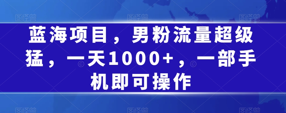 蓝海项目，男粉流量超级猛，一天1000+，一部手机即可操作【揭秘】_中创网,自媒体短视频教学_网创项目_网络创业无忧资源网