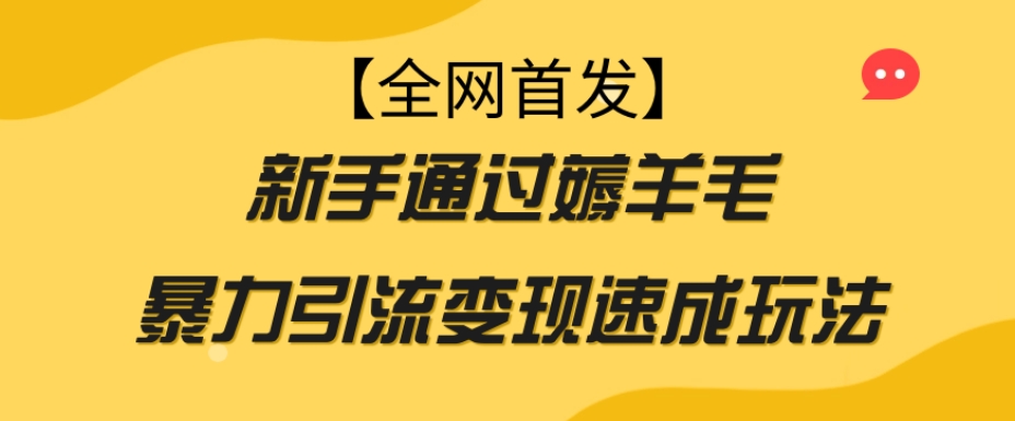 【全网首发】新手通过薅羊毛暴力引流变现速成玩法_中创网,自媒体短视频教学_网创项目_网络创业无忧资源网