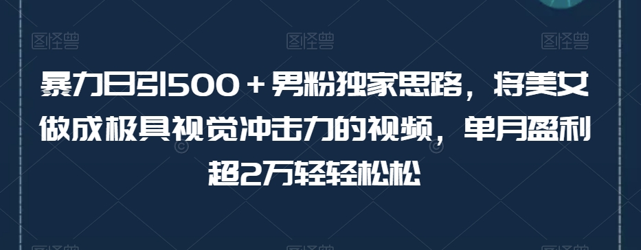 暴力日引500＋男粉独家思路，将美女做成极具视觉冲击力的视频，单月盈利超2万轻轻松松_中创网,自媒体短视频教学_网创项目_网络创业无忧资源网