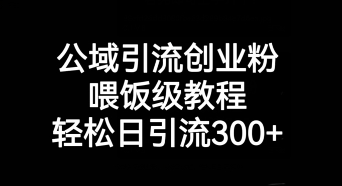 公域引流创业粉，喂饭级教程，轻松日引流300+【揭秘】_中创网,自媒体短视频教学_网创项目_网络创业无忧资源网