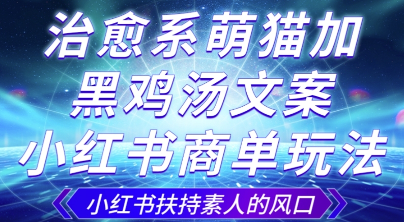治愈系萌猫加+黑鸡汤文案，小红书商单玩法，3~10天涨到1000粉，一单200左右_中创网,自媒体短视频教学_网创项目_网络创业无忧资源网