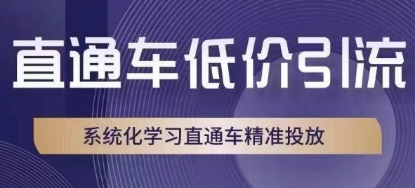 直通车低价引流课，系统化学习直通车精准投放_中创网,自媒体短视频教学_网创项目_网络创业无忧资源网