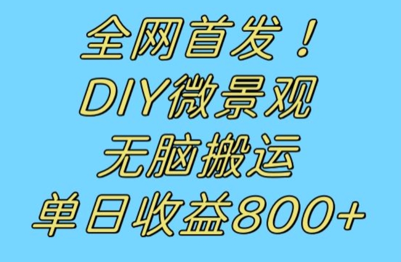 全网首发冷门赛道！DIY微景观，无脑搬运视频，日收益800+【揭秘】_中创网,自媒体短视频教学_网创项目_网络创业无忧资源网