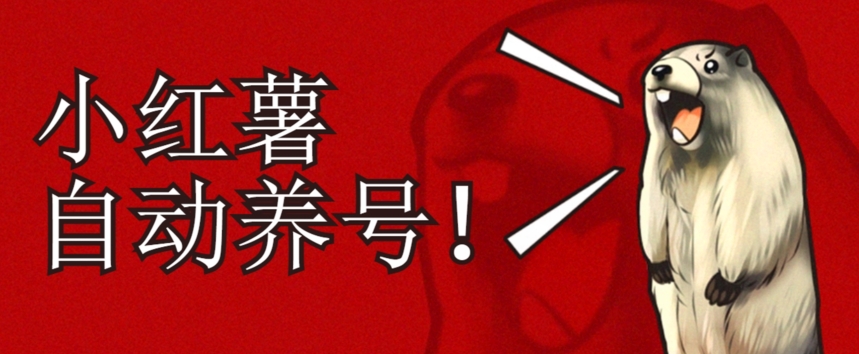 小红书养号秘籍，如何自动涨粉清晰系统标签打造高权重账号【揭秘】_中创网,自媒体短视频教学_网创项目_网络创业无忧资源网