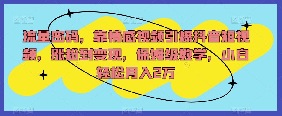流量密码，靠情感视频引爆抖音短视频，涨粉到变现，保姆级教学，小白轻松月入2万【揭秘】_中创网,自媒体短视频教学_网创项目_网络创业无忧资源网