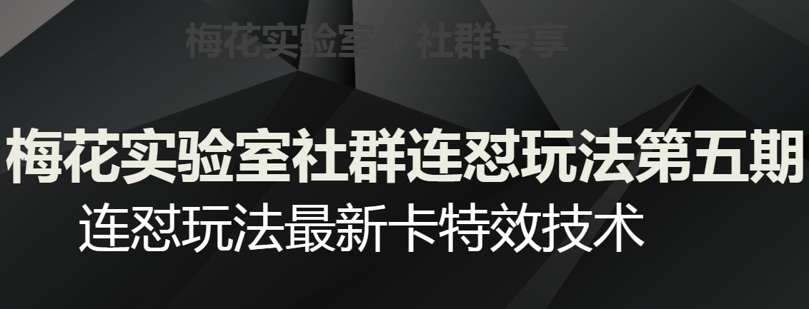 梅花实验室社群连怼玩法第五期，视频号连怼玩法最新卡特效技术_中创网,自媒体短视频教学_网创项目_网络创业无忧资源网