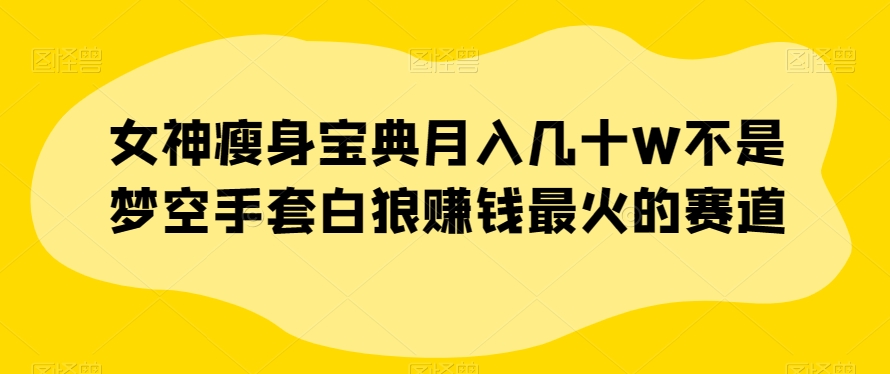 女神瘦身宝典月入几十W不是梦空手套白狼赚钱最火的赛道【揭秘】_中创网,自媒体短视频教学_网创项目_网络创业无忧资源网