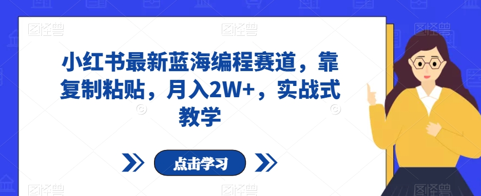 小红书最新蓝海编程赛道，靠复制粘贴，月入2W+，实战式教学【揭秘】_中创网,自媒体短视频教学_网创项目_网络创业无忧资源网