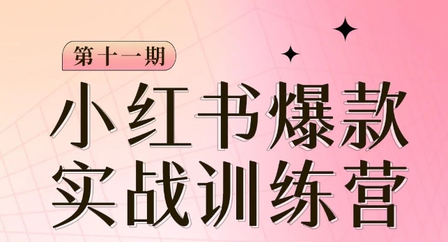 小红书博主爆款训练营第11期，手把手教你从0-1做小红书，从定位到起号到变现_中创网,自媒体短视频教学_网创项目_网络创业无忧资源网