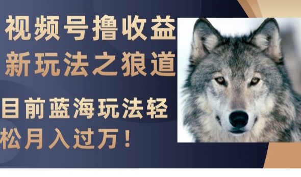 视频号撸收益新玩法之狼道，目前蓝海玩法，轻松月入过万【揭秘】_中创网,自媒体短视频教学_网创项目_网络创业无忧资源网