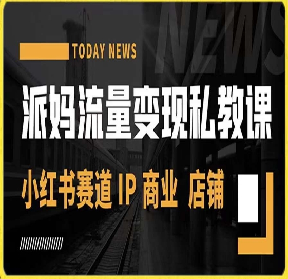 派妈流量变现私教课，小红书赛道IP  商业  店铺 _中创网,自媒体短视频教学_网创项目_网络创业无忧资源网