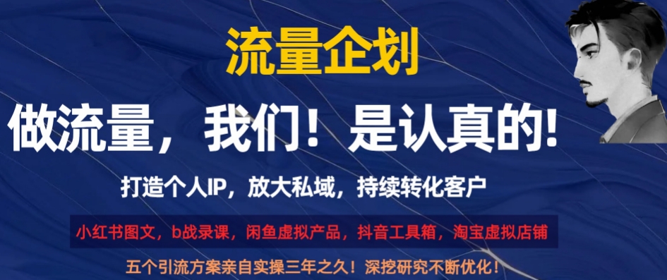 流量企划，打造个人IP，放大私域，持续转化客户【揭秘】_中创网,自媒体短视频教学_网创项目_网络创业无忧资源网