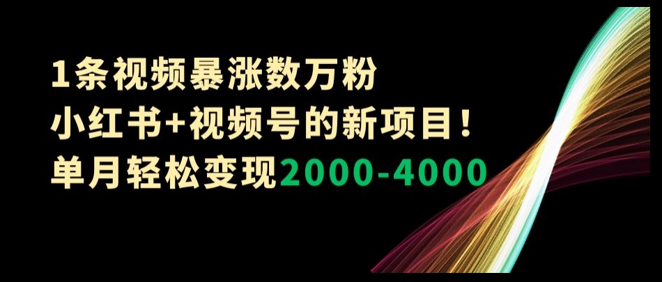 1条视频暴涨数万粉–小红书+视频号的新项目！单月轻松变现2000-4000【揭秘】_中创网,自媒体短视频教学_网创项目_网络创业无忧资源网