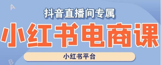 小红书电商高级运营课程，实操教学+案例分析_中创网,自媒体短视频教学_网创项目_网络创业无忧资源网