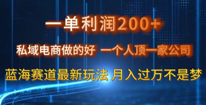 一单利润200私域电商做的好，一个人顶一家公司蓝海赛道最新玩法【揭秘】_中创网,自媒体短视频教学_网创项目_网络创业无忧资源网