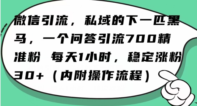 怎么搞精准创业粉？微信新赛道，每天一小时，利用Ai一个问答日引100精准粉_中创网,自媒体短视频教学_网创项目_网络创业无忧资源网