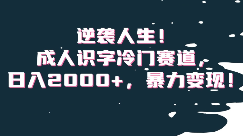 逆袭人生！成人识字冷门赛道，日入2000+，暴力变现！【揭秘】_中创网,自媒体短视频教学_网创项目_网络创业无忧资源网