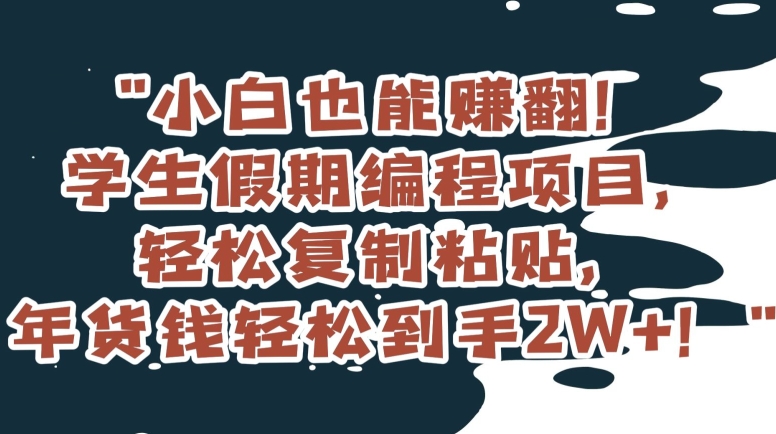 小白也能赚翻！学生假期编程项目，轻松复制粘贴，年货钱轻松到手2W+【揭秘】_中创网,自媒体短视频教学_网创项目_网络创业无忧资源网