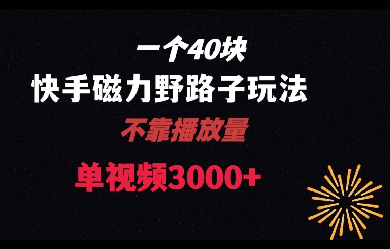一个40块，快手联合美团磁力新玩法，无视机制野路子玩法，单视频收益4位数【揭秘】_中创网,自媒体短视频教学_网创项目_网络创业无忧资源网