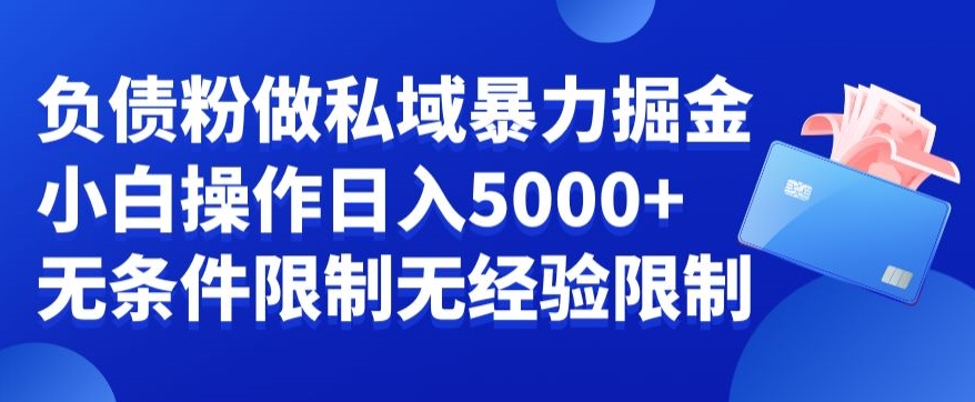负债粉私域暴力掘金，小白操作入5000，无经验限制，无条件限制【揭秘】_中创网,自媒体短视频教学_网创项目_网络创业无忧资源网