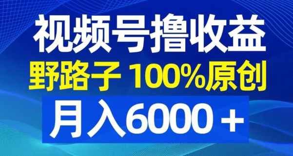视频号野路子撸收益，100%原创，条条爆款，月入6000＋【揭秘】_中创网,自媒体短视频教学_网创项目_网络创业无忧资源网