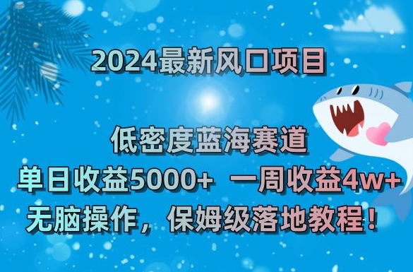 2024最新风口项目，低密度蓝海赛道，单日收益5000+，一周收益4w+！【揭秘】_中创网,自媒体短视频教学_网创项目_网络创业无忧资源网