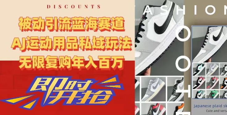 被动引流蓝海赛道，AJ运动用品私域玩法，无限复购年入百万【揭秘】_中创网,自媒体短视频教学_网创项目_网络创业无忧资源网