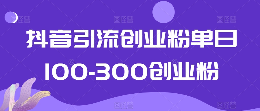 抖音引流创业粉单日100-300创业粉【揭秘】_中创网,自媒体短视频教学_网创项目_网络创业无忧资源网