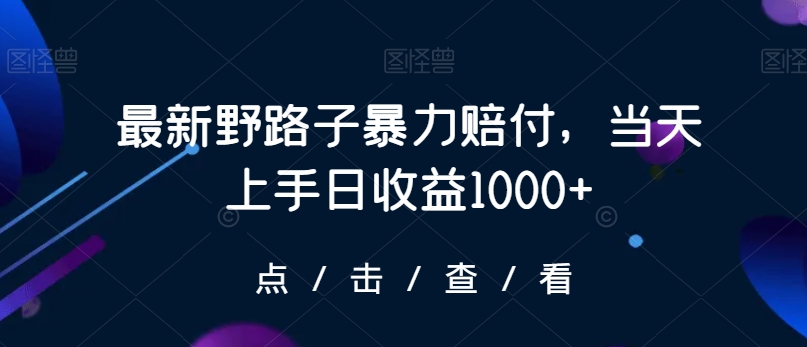 最新野路子暴力赔付，当天上手日收益1000+【仅揭秘】_中创网,自媒体短视频教学_网创项目_网络创业无忧资源网