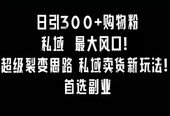 日引300+购物粉，超级裂变思路，私域卖货新玩法，小红书首选副业【揭秘】_中创网,自媒体短视频教学_网创项目_网络创业无忧资源网