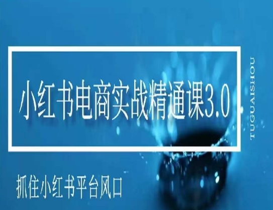 小红书电商实战精通课3.0，抓住小红书平台的风口，不错过有一个赚钱的机会_中创网,自媒体短视频教学_网创项目_网络创业无忧资源网