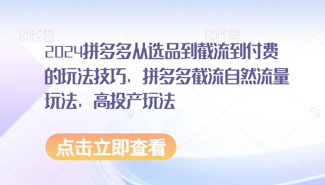 2024拼多多从选品到截流到付费的玩法技巧，拼多多截流自然流量玩法，高投产玩法_中创网,自媒体短视频教学_网创项目_网络创业无忧资源网