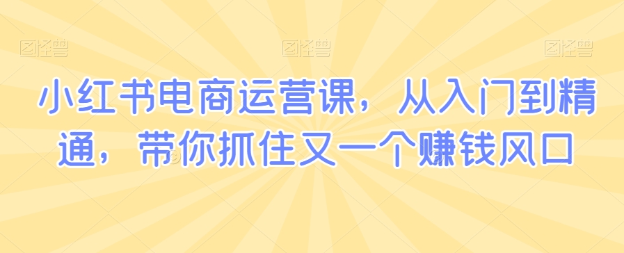 小红书电商运营课，从入门到精通，带你抓住又一个赚钱风口_中创网,自媒体短视频教学_网创项目_网络创业无忧资源网