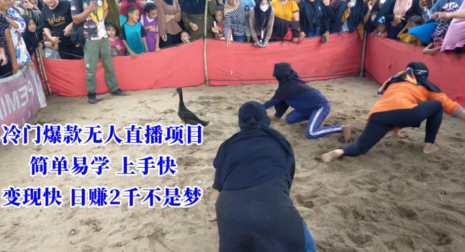 冷门爆款无人直播项目，简单易学上手快，变现快日赚2千不是梦【揭秘】_中创网,自媒体短视频教学_网创项目_网络创业无忧资源网