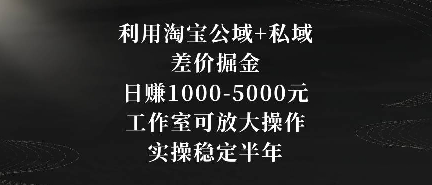 利用淘宝公域+私域差价掘金，日赚1000-5000元，工作室可放大操作，实操稳定半年【揭秘】_中创网,自媒体短视频教学_网创项目_网络创业无忧资源网