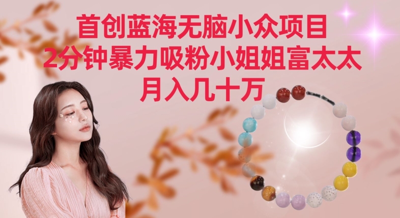 首创蓝海无脑小众项目，2分钟暴力吸粉小姐姐富太太，月入几十万【揭秘】_中创网,自媒体短视频教学_网创项目_网络创业无忧资源网