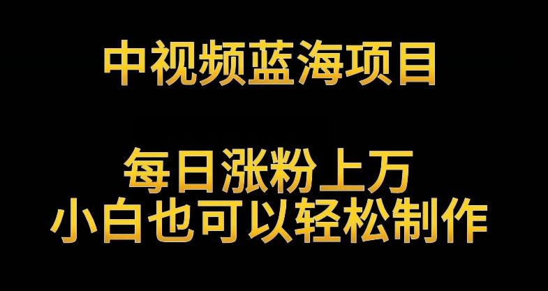 中视频蓝海项目，解读英雄人物生平，每日涨粉上万，小白也可以轻松制作，月入过万不是梦【揭秘】_中创网,自媒体短视频教学_网创项目_网络创业无忧资源网
